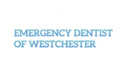westchesterdentalemergency.com