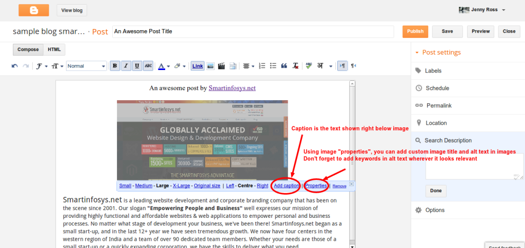 Setting image properties in blogger: screenshot