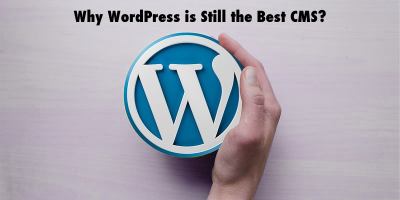 Why WordPress is Still the Best CMS?