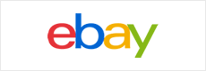 Ebay ecommerce website development